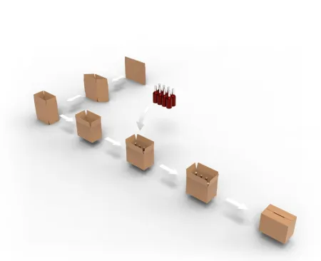 B-series Cartesian robot case packing sequence erecting and filling a box