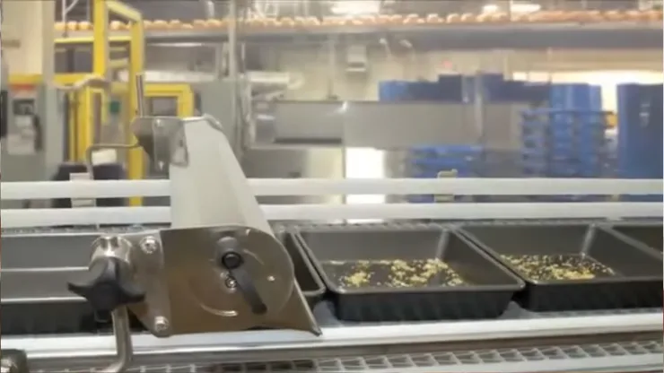 Produce Drying Overview